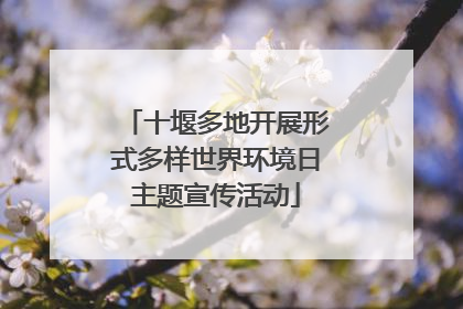 十堰多地开展形式多样世界环境日主题宣传活动