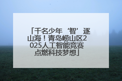 千名少年‘智’逐山海！青岛崂山区2025人工智能竞赛点燃科技梦想