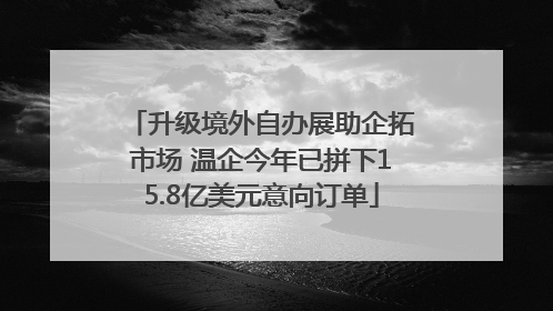 升级境外自办展助企拓市场 温企今年已拼下15.8亿美元意向订单