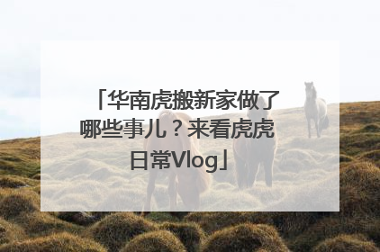 华南虎搬新家做了哪些事儿？来看虎虎日常Vlog