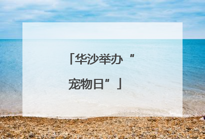 华沙举办“宠物日”