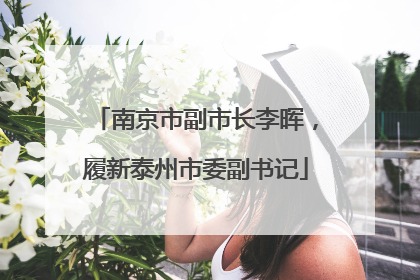 南京市副市长李晖，履新泰州市委副书记