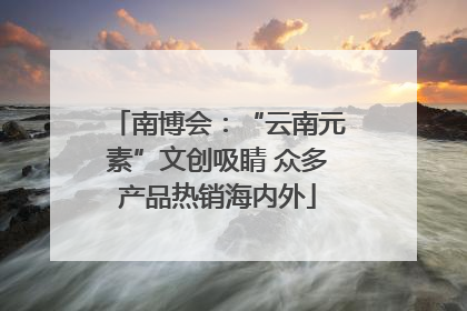南博会：“云南元素”文创吸睛 众多产品热销海内外