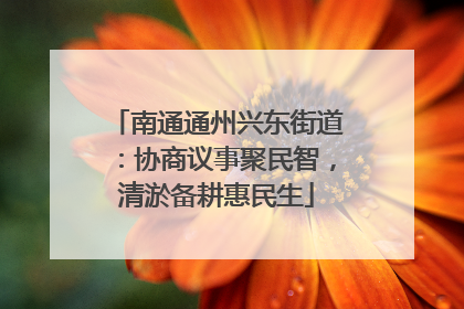 南通通州兴东街道：协商议事聚民智，清淤备耕惠民生