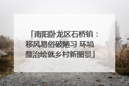 南阳卧龙区石桥镇：移风易俗破陋习 环境整治绘就乡村新图景