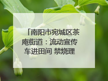 南阳市宛城区茶庵街道：流动宣传车进田间 禁烧理念入人心