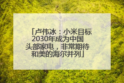 卢伟冰：小米目标2030年成为中国头部家电，非常期待和美的海尔并列