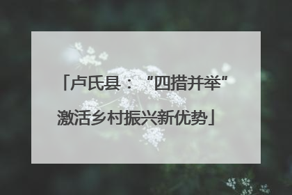 卢氏县：“四措并举”激活乡村振兴新优势