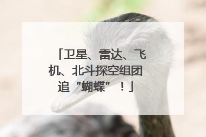 卫星、雷达、飞机、北斗探空组团追“蝴蝶”！