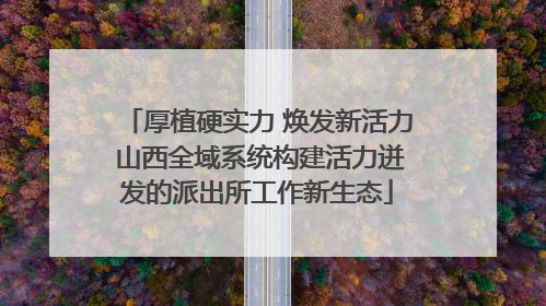 厚植硬实力 焕发新活力 山西全域系统构建活力迸发的派出所工作新生态