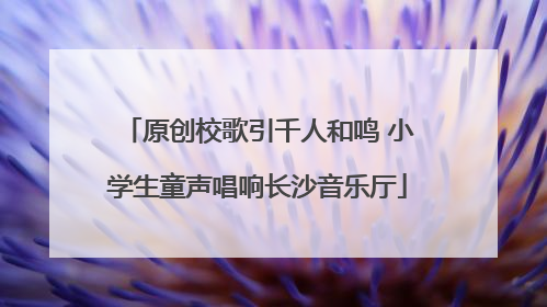 原创校歌引千人和鸣 小学生童声唱响长沙音乐厅