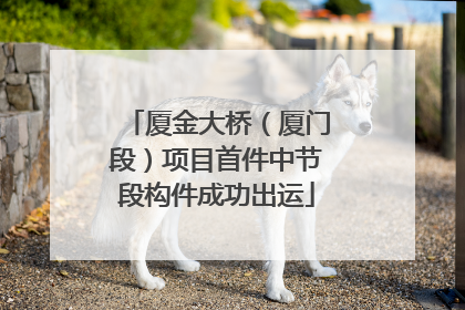 厦金大桥（厦门段）项目首件中节段构件成功出运