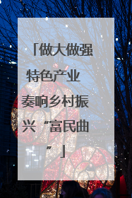 做大做强特色产业 奏响乡村振兴“富民曲”