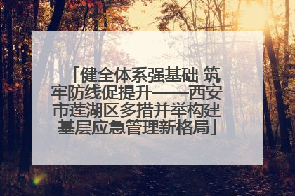 健全体系强基础 筑牢防线促提升——西安市莲湖区多措并举构建基层应急管理新格局