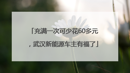 充满一次可少花60多元，武汉新能源车主有福了