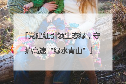 党建红引领生态绿，守护高速“绿水青山”