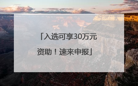 入选可享30万元资助！速来申报