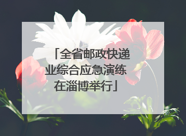 全省邮政快递业综合应急演练在淄博举行