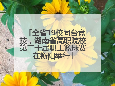 全省19校同台竞技，湖南省高职院校第二十届职工篮球赛在衡阳举行