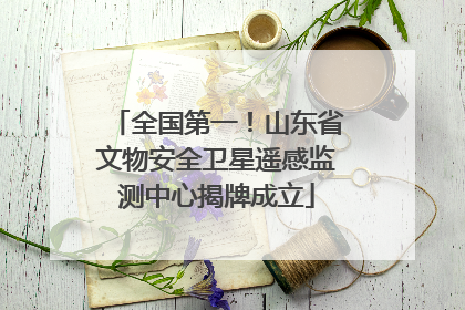 全国第一！山东省文物安全卫星遥感监测中心揭牌成立