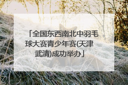 全国东西南北中羽毛球大赛青少年赛(天津武清)成功举办