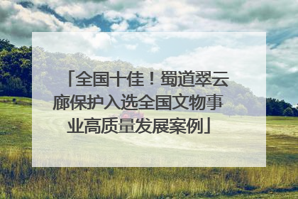 全国十佳！蜀道翠云廊保护入选全国文物事业高质量发展案例