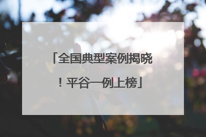 全国典型案例揭晓！平谷一例上榜
