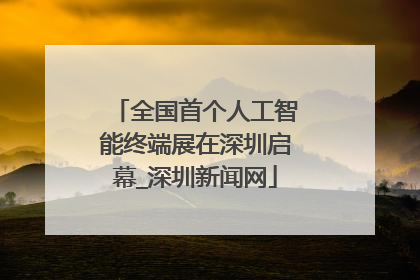 全国首个人工智能终端展在深圳启幕_深圳新闻网