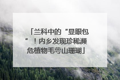 兰科中的“显眼包”！内乡发现珍稀濒危植物毛萼山珊瑚
