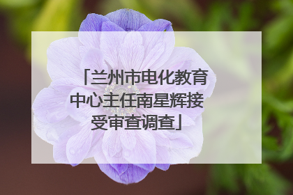 兰州市电化教育中心主任南星辉接受审查调查