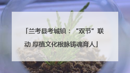 兰考县考城镇：“双节”联动 厚植文化根脉铸魂育人