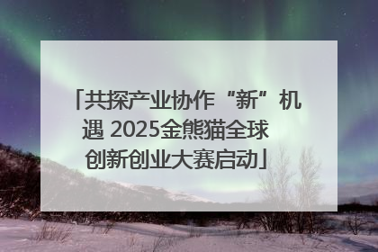 共探产业协作“新”机遇 2025金熊猫全球创新创业大赛启动