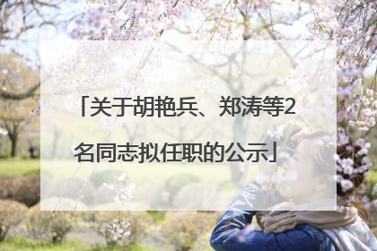 关于胡艳兵、郑涛等2名同志拟任职的公示