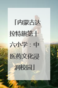 内蒙古达拉特旗第十六小学：中医药文化浸润校园