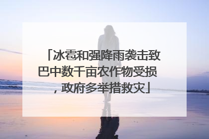 冰雹和强降雨袭击致巴中数千亩农作物受损，政府多举措救灾
