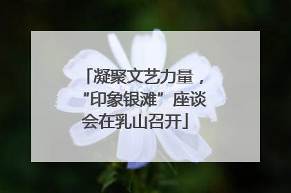 凝聚文艺力量，“印象银滩”座谈会在乳山召开