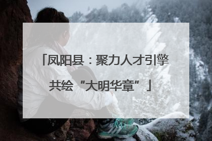 凤阳县：聚力人才引擎 共绘“大明华章”