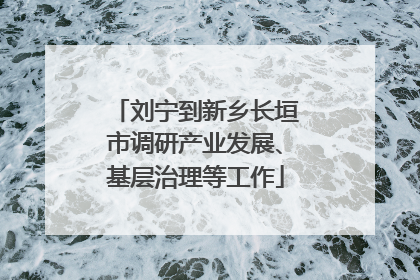 刘宁到新乡长垣市调研产业发展、基层治理等工作