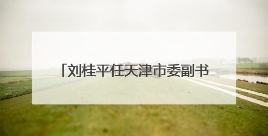 刘桂平任天津市委副书记 陈辐宽不再担任