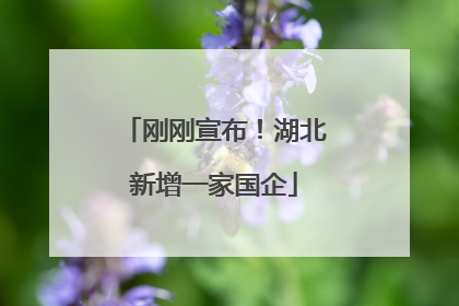 刚刚宣布！湖北新增一家国企