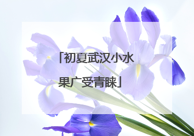 初夏武汉小水果广受青睐