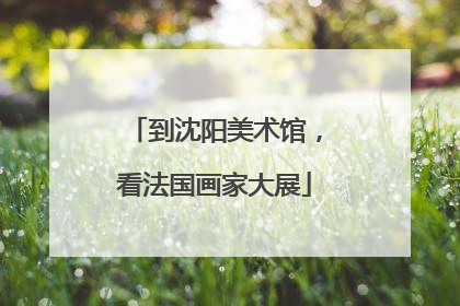 到沈阳美术馆，看法国画家大展
