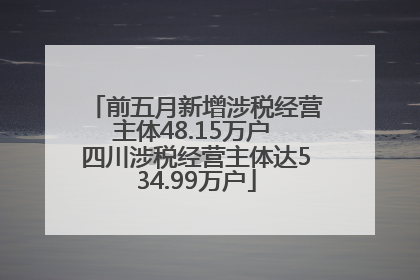 前五月新增涉税经营主体48.15万户 四川涉税经营主体达534.99万户