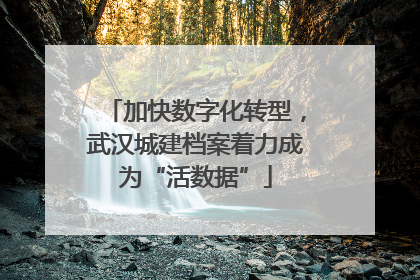 加快数字化转型，武汉城建档案着力成为“活数据”