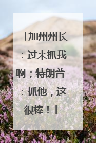 加州州长：过来抓我啊；特朗普：抓他，这很棒！