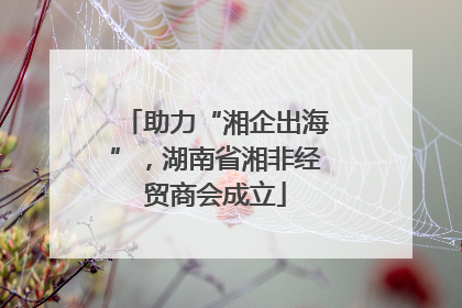 助力“湘企出海”，湖南省湘非经贸商会成立