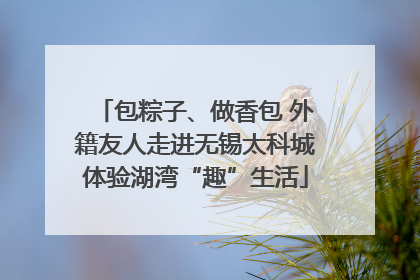 包粽子、做香包 外籍友人走进无锡太科城体验湖湾“趣”生活