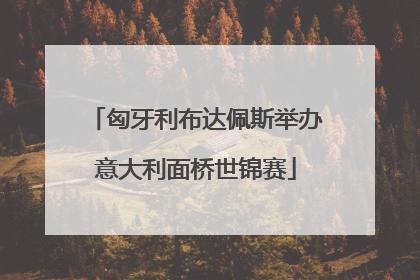 匈牙利布达佩斯举办意大利面桥世锦赛