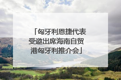 匈牙利恩捷代表受邀出席海南自贸港匈牙利推介会