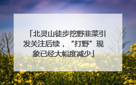 北灵山徒步挖野韭菜引发关注后续，“打野”现象已经大幅度减少